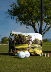 Go Wild Series | Stripe it like Ziggy