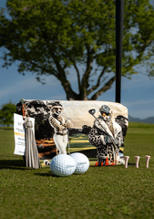 Go Wild Series | The Golffather